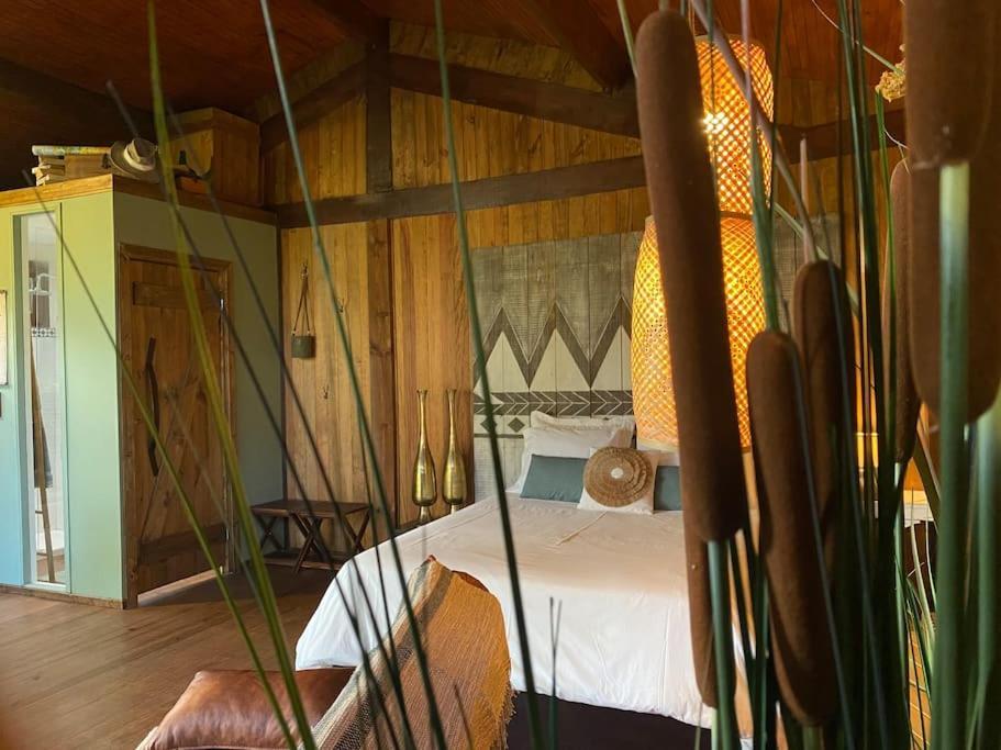 Pine Lodge - Direct Train To Porto Valongo  Exteriér fotografie